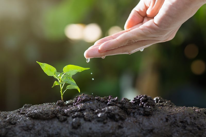 Urban gardening hacks