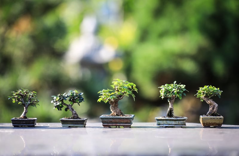 Pallet Garden